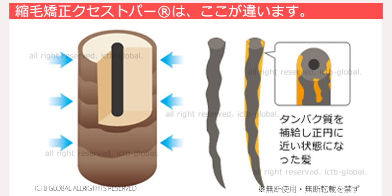 クセストパーはここが違います。
