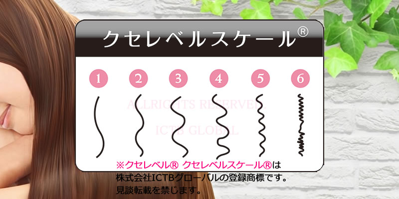 ※クセレベルスケール®は、株式会社ICTBグローバルの登録商標です。