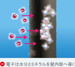 -電子は水分とミネラルを髪内部へ導く